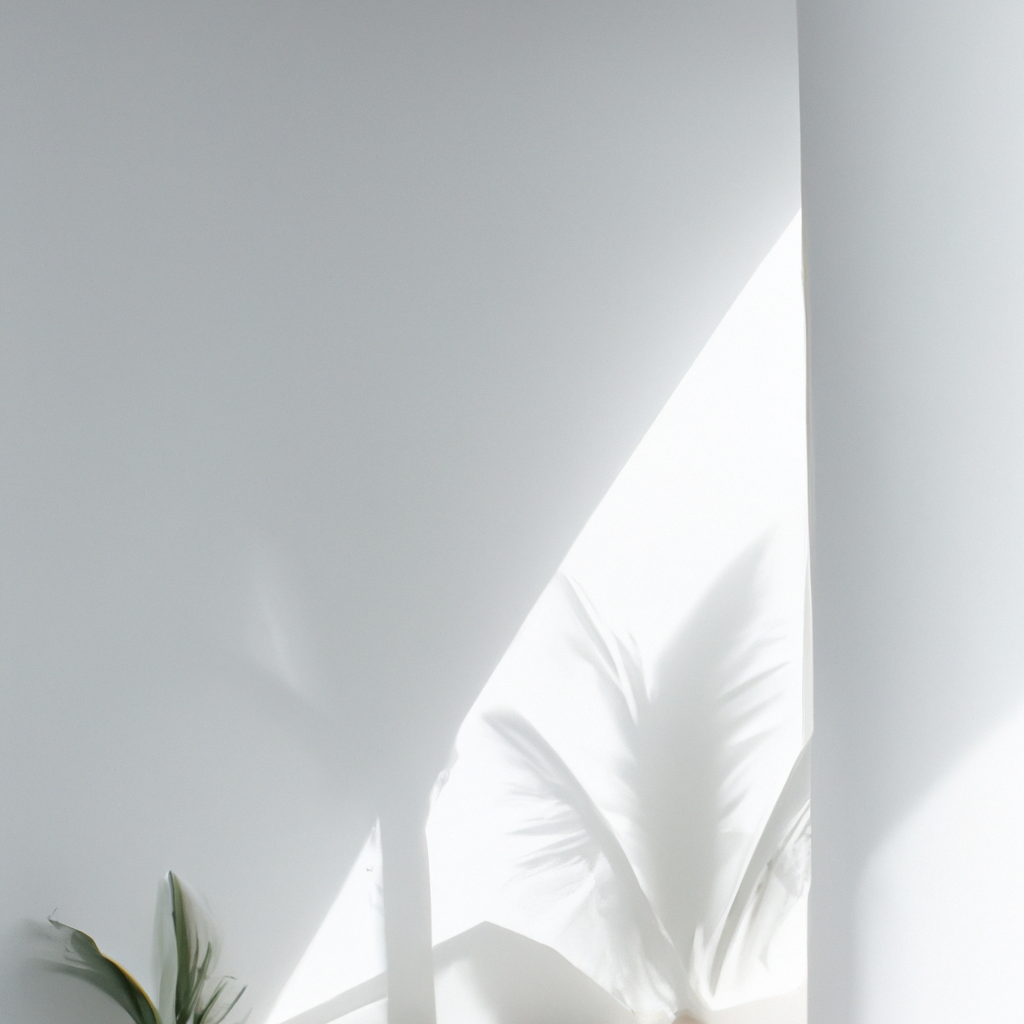 Studio photo minimaliste baigné de lumière naturelle avec ombres de palmiers